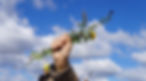 Medium - A Red Flag on International Women’s Day: Women Land and Rights Defenders Facing Violence
