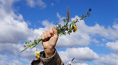 Medium - A Red Flag on International Women’s Day: Women Land and Rights Defenders Facing Violence
