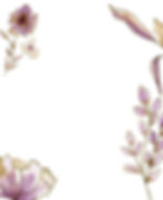 Postpartum-Background-long2.jpg