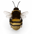 Bumblebee.D09.2k-2.png