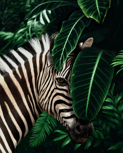 zebra-forest.png