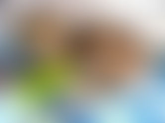 Injured Cats, Strong Spirits