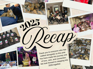 Happy New Year from QT Community Cats