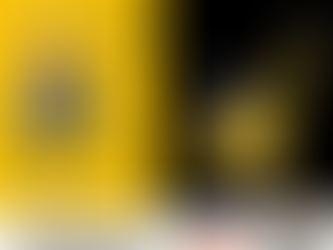 Diferencia entre la Placa Vibratoria Reversible BPU3050A Wacker Neuson y una placa vibratoria convencional.