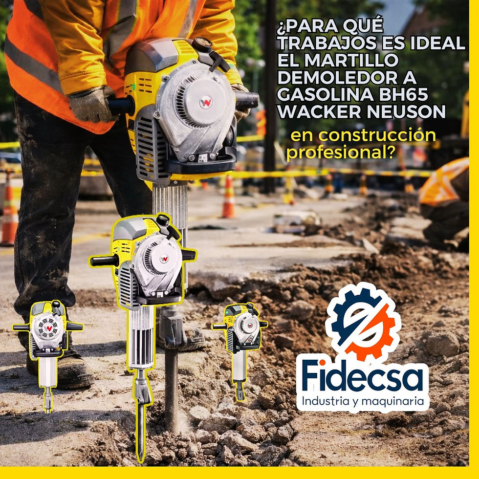 ¿Para qué trabajos es ideal el Martillo Demoledor a Gasolina BH65 Wacker Neuson en construcción profesional?
