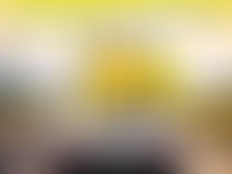 ¿Cómo trasladar de forma segura la Revolvedora de Concreto MAXI 10 CIPSA?