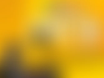 ¿Cuál es la capacidad máxima de sólidos que puede manejar la Bomba Tragasolidos 6"x6" PT6 WACKER NEUSON sin obstruirse?