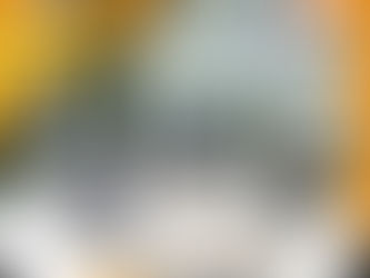 ¿Qué materiales puede cortar la Wacker Neuson NS635S? Aplicaciones y Versatilidad en Obra Pesada