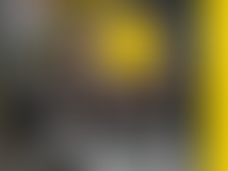 Caudal máximo y altura de succión de la Bomba Tragasólidos 6"x6" PT6 Wacker Neuson: Características, ventajas y aplicaciones