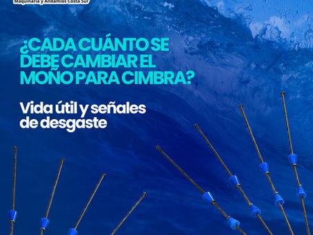 Moños para cimbra en albercas y cisternas: requisitos y errores que no puedes cometer