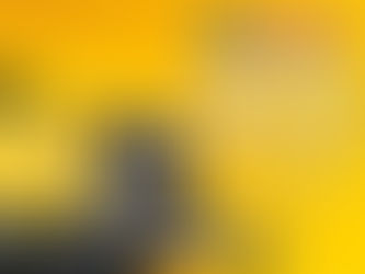 ¿Qué tipo de motor y consumo de combustible tiene la Bomba Tragasolidos 6"x6" PT6 WACKER NEUSON para jornadas largas?
