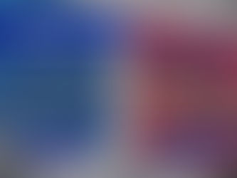 DIFERENCIA ENTRE CANASTILLAS PASAJUNTAS GALVANIZADAS Y NEGRAS