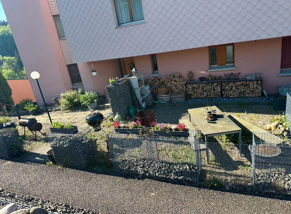 WhatsApp Image 2025-06-11 at 21.26_edited.jpg