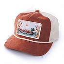 ClayCap.The Mallard Trucker3.jpg