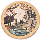 Minnesota Oculus Listing_edited.png