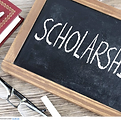 scholar_edited.png