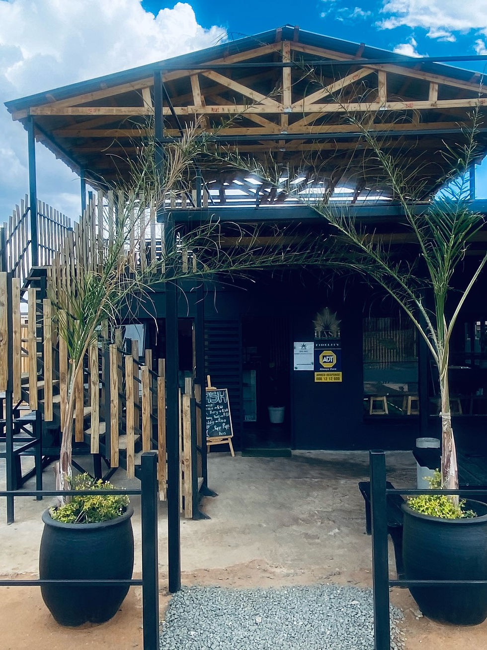 Hash Cannabis Lounge & Restaurant: More Than a Lounge — A Home for Culture, Creativity and Community