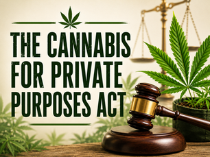 The Cannabis for Private Purposes Act: A Complete Guide for South Africans