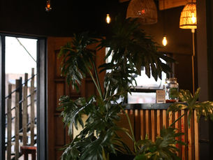 Hash Cannabis Lounge & Restaurant Featured on Stoners Lounge: Where South African Food, Culture & Private Lifestyle Meet in Rocklands