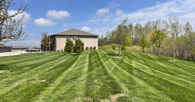 Lawn Maintenance