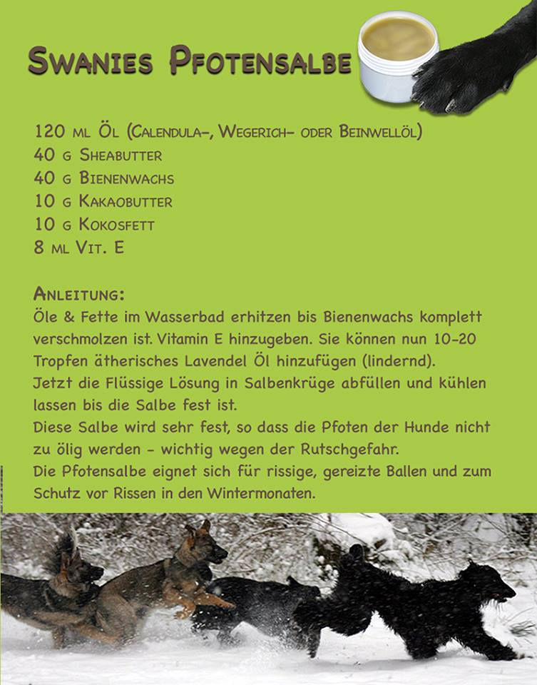 Tierpsychologische Beratung für Menschen mit Hund Clarissa Mayer-Trommer
