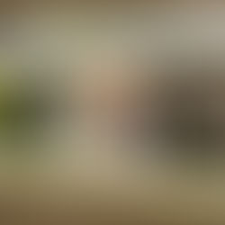 NEU - Ein Training als Geschenk!