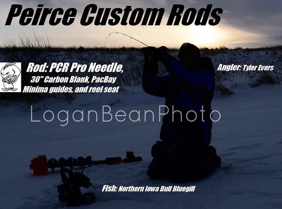 PCR Pro Needle - Carbon