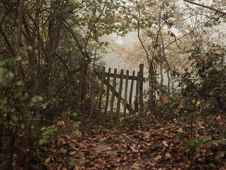 The Forest. Part One.