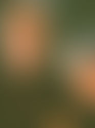 I only kill people I like.