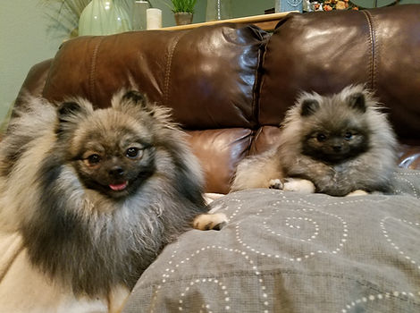 20191001_200351.jpg