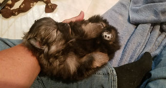 20200727_221021.jpg