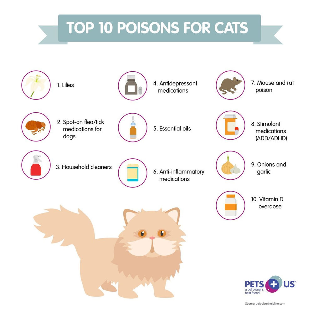 MARCH IS PET POISON PREVENTION AWARENESS MONTH