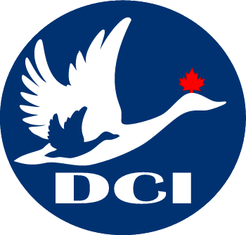 dci_logo_blue.gif