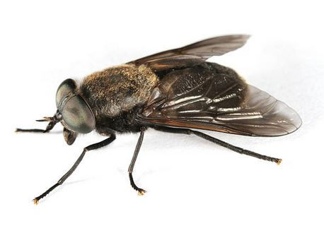 istanbul böcek ilaçlama,istanbul haşere ilaçlama,seyrantepe böcek ilaçlama,seyrantepe haşere ilaçlama,kağıthane böcek ilaçlama,kağıthane haşere ilaçlama,sanayi mahallesi böcek ilaçlama,sanayi mahallesi haşere ilaçlama,çeliktepe haşere ilaçlama,çeliktepe böcek ilaçlama,gültepe böcek ilaçlama,gültepe haşere ilaçlama,küçükyalı böcek ilaçlama,küçükyalı haşere ilaçlama,maltepe böcek ilaçlama,maltepe haşere ilaçlama,çınar mahallesi böcek ilaçlama,çınar mahallesi haşere ilaçlama,kadıköy böcek ilaçlama,kadıköy haşere ilaçlama,ortaköy böcek ilaçlama,beşiktaş böcek ilaçlama,arnavutköy böcek ilaçlama,beyoğlu böcek ilaçlama,bebek böcek ilaçlama,