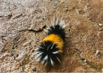 istanbul böcek ilaçlama,istanbul haşere ilaçlama,seyrantepe böcek ilaçlama,seyrantepe haşere ilaçlama,kağıthane böcek ilaçlama,kağıthane haşere ilaçlama,sanayi mahallesi böcek ilaçlama,sanayi mahallesi haşere ilaçlama,çeliktepe haşere ilaçlama,çeliktepe böcek ilaçlama,gültepe böcek ilaçlama,gültepe haşere ilaçlama,küçükyalı böcek ilaçlama,küçükyalı haşere ilaçlama,maltepe böcek ilaçlama,maltepe haşere ilaçlama,çınar mahallesi böcek ilaçlama,çınar mahallesi haşere ilaçlama,kadıköy böcek ilaçlama,kadıköy haşere ilaçlama,ortaköy böcek ilaçlama,beşiktaş böcek ilaçlama,arnavutköy böcek ilaçlama,beyoğlu böcek ilaçlama,bebek böcek ilaçlama,