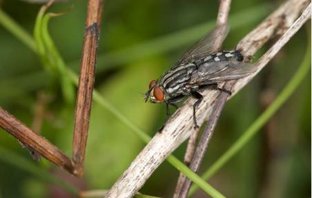 istanbul böcek ilaçlama,istanbul haşere ilaçlama,seyrantepe böcek ilaçlama,seyrantepe haşere ilaçlama,kağıthane böcek ilaçlama,kağıthane haşere ilaçlama,sanayi mahallesi böcek ilaçlama,sanayi mahallesi haşere ilaçlama,çeliktepe haşere ilaçlama,çeliktepe böcek ilaçlama,gültepe böcek ilaçlama,gültepe haşere ilaçlama,küçükyalı böcek ilaçlama,küçükyalı haşere ilaçlama,maltepe böcek ilaçlama,maltepe haşere ilaçlama,çınar mahallesi böcek ilaçlama,çınar mahallesi haşere ilaçlama,kadıköy böcek ilaçlama,kadıköy haşere ilaçlama,ortaköy böcek ilaçlama,beşiktaş böcek ilaçlama,arnavutköy böcek ilaçlama,beyoğlu böcek ilaçlama,bebek böcek ilaçlama,