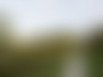 What Is Included in a Complete Cemetery Package in Florida?