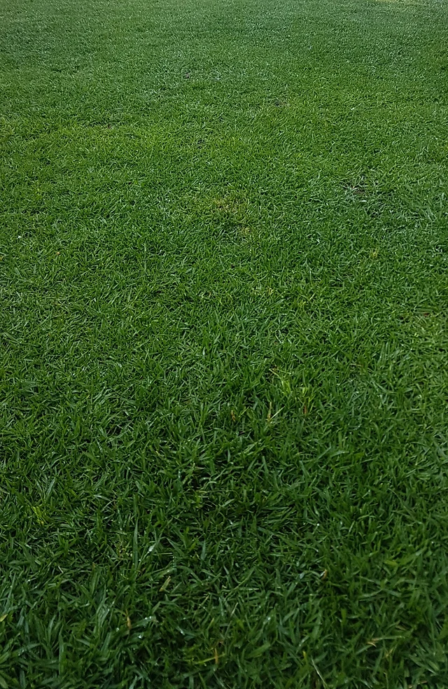 Bunbury Lawnmowing Friendly Reliable Service Australia