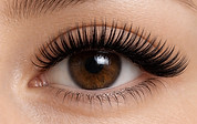 Wet _ Wispy effect Medium lash extensions Empress’s Secret.jpeg