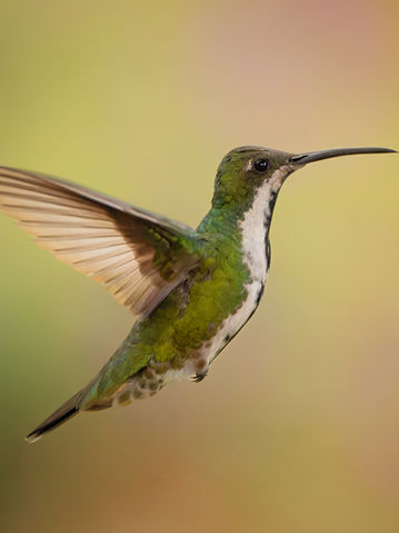 _DSC0616-ARW_DxO_DeepPRIME-Editar_2048 long edge_2048x1746_U_40.jpg