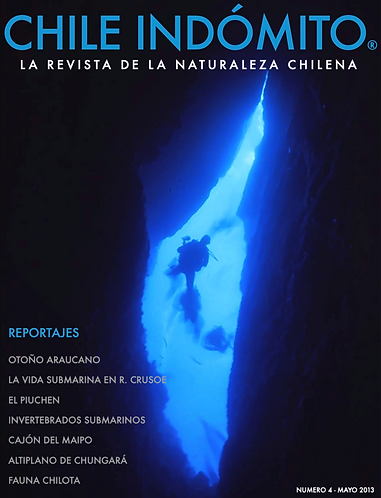Captura de pantalla 2026-04-20 a la(s) 3.45.02 p.m..png