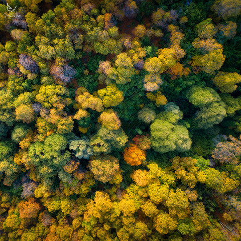 DJI_0282-2-copia.jpg