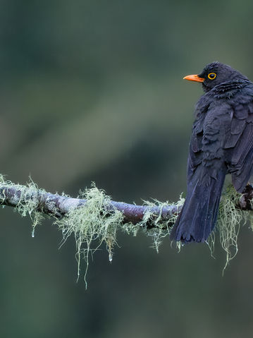 _DSC0131-ARW_DxO_DeepPRIME-Editar_2048 long edge_2048x1366_U_40.jpg