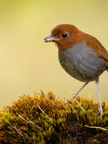 _DSC0429-ARW_DxO_DeepPRIME-Editar_2048 long edge_2048x1444_U_40.jpg