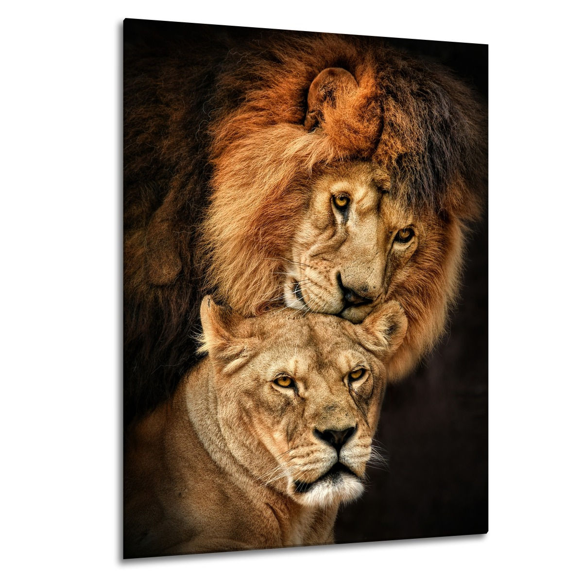 QUADRO CANVAS SEM MOLDURA