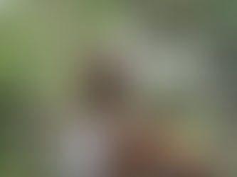 Écoute ton cœur, il a un message pour toi!💛