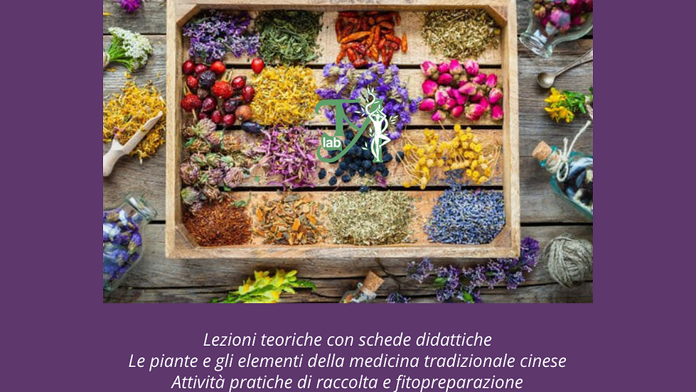 2°CORSO BASE DI ERBORISTERIA APPLICATA