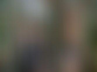 PQs Seek and Hide in the Succulent Garden