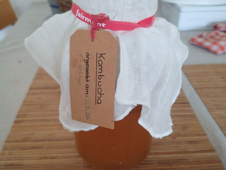 Kombucha machen