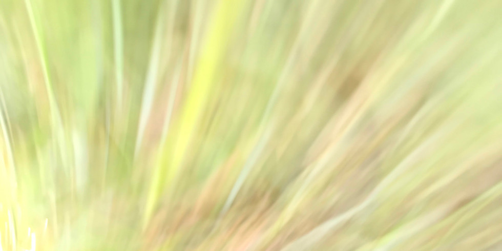 Πρόγραμμα υποστήριξης Long Covid, Workshop 7: Healing